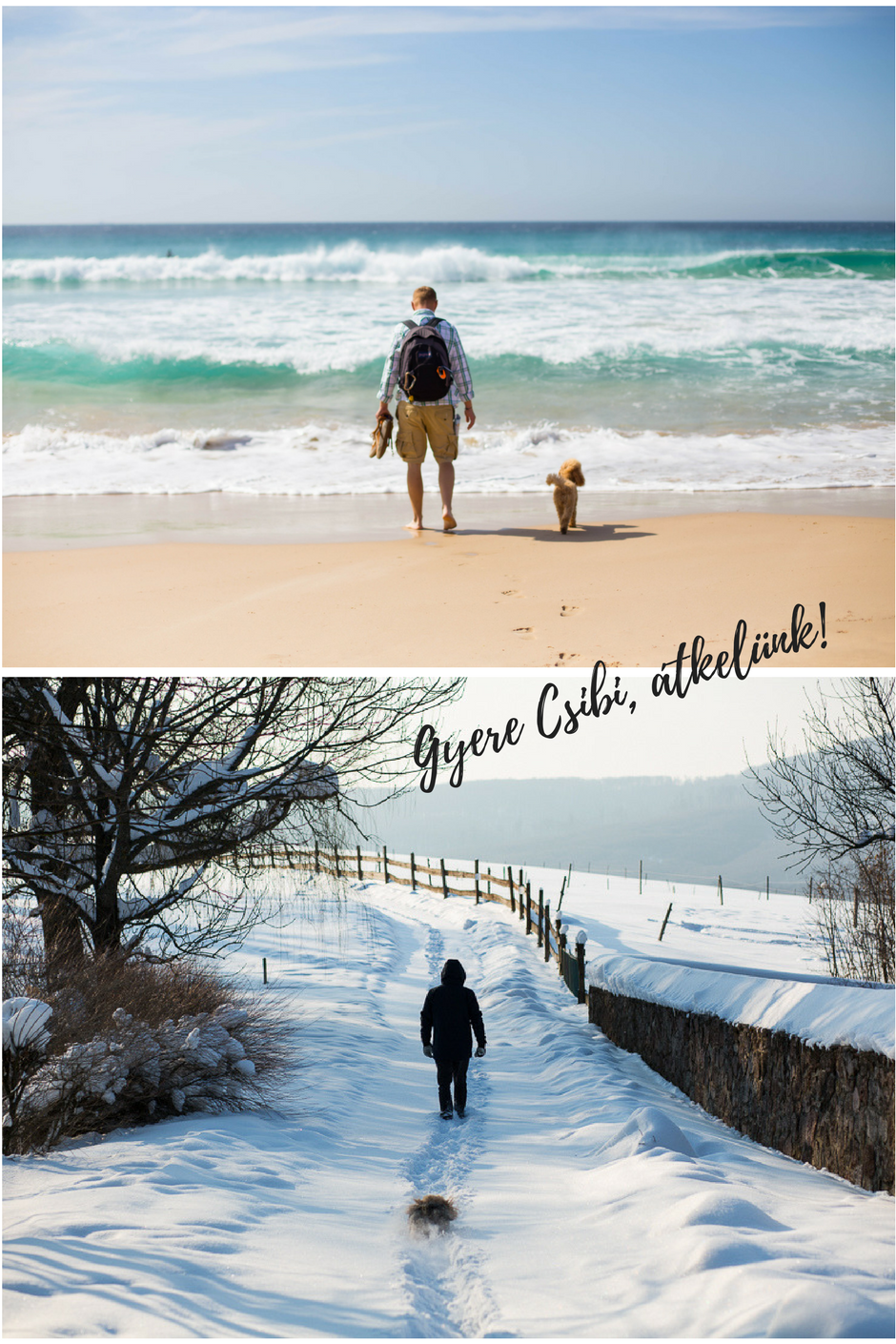 téli csodavilág a Bakonyban www.emlekekize.hu