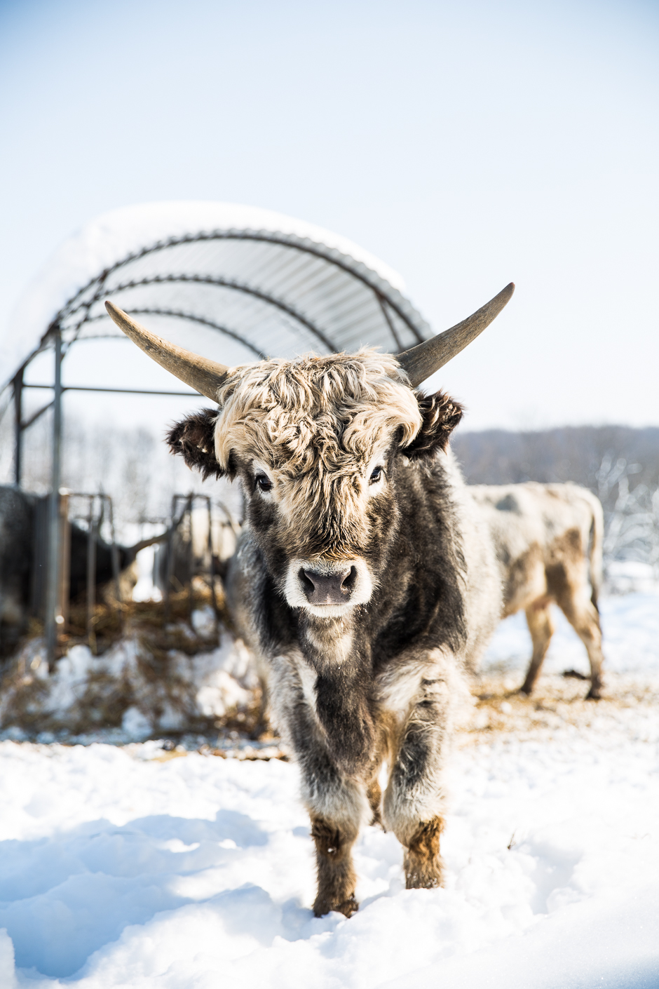 téli csodavilág a Bakonyban www.emlekekize.hu