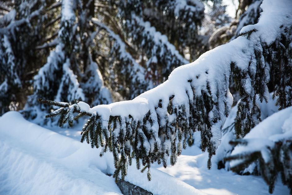 téli csodavilág a Bakonyban www.emlekekize.hu