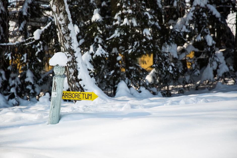 téli csodavilág a Bakonyban www.emlekekize.hu