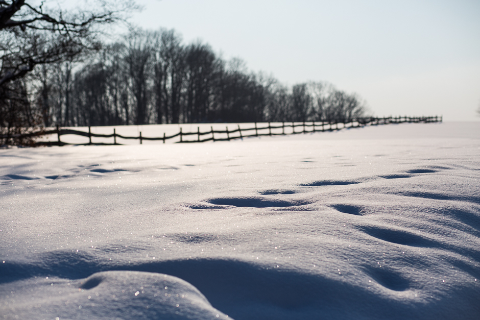 téli képek a Bakonyból www.emlekekize.hu