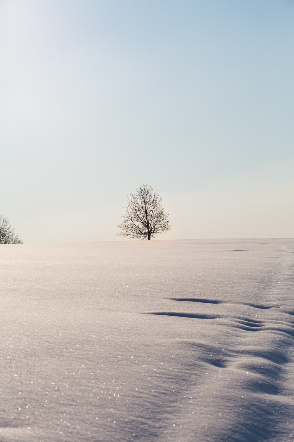 téli képek a Bakonyból www.emlekekize.hu