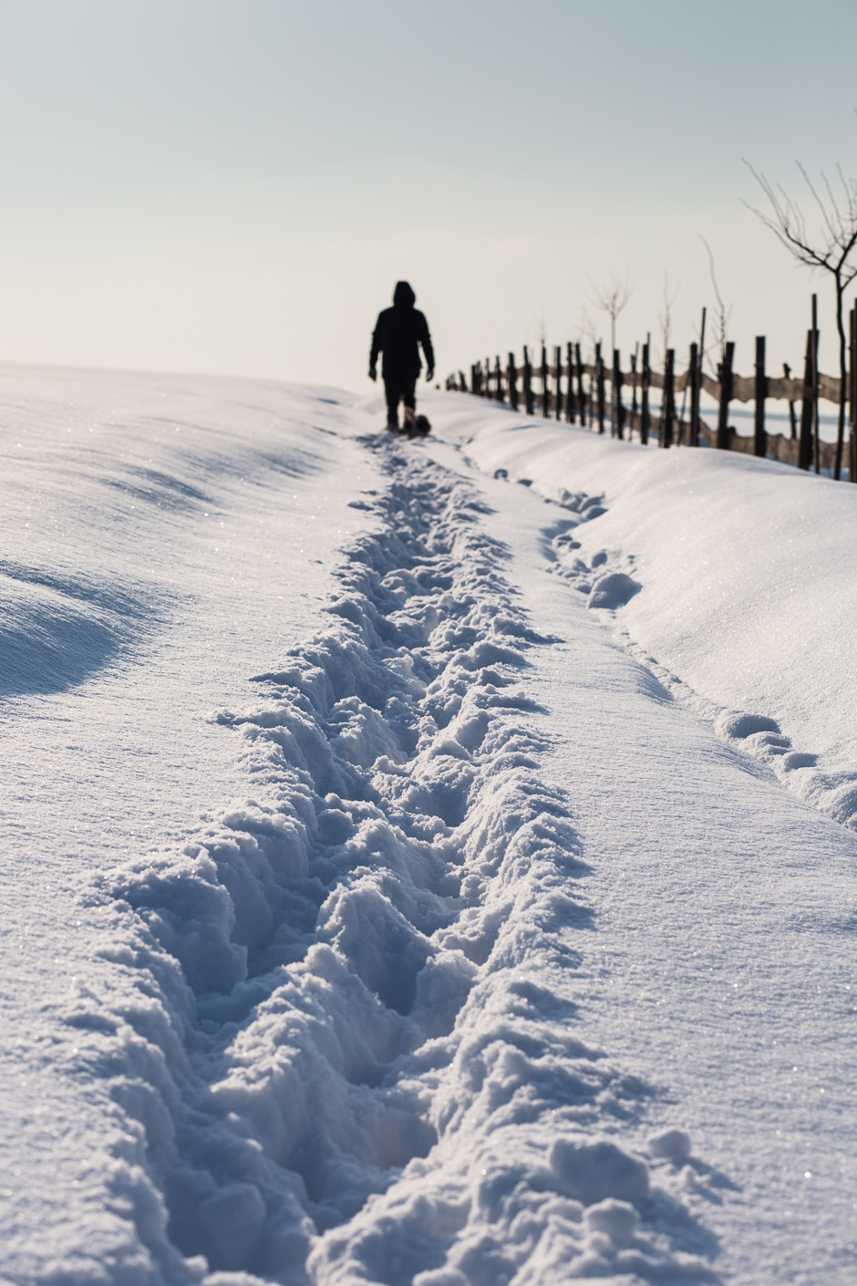 téli képek a Bakonyból www.emlekekize.hu
