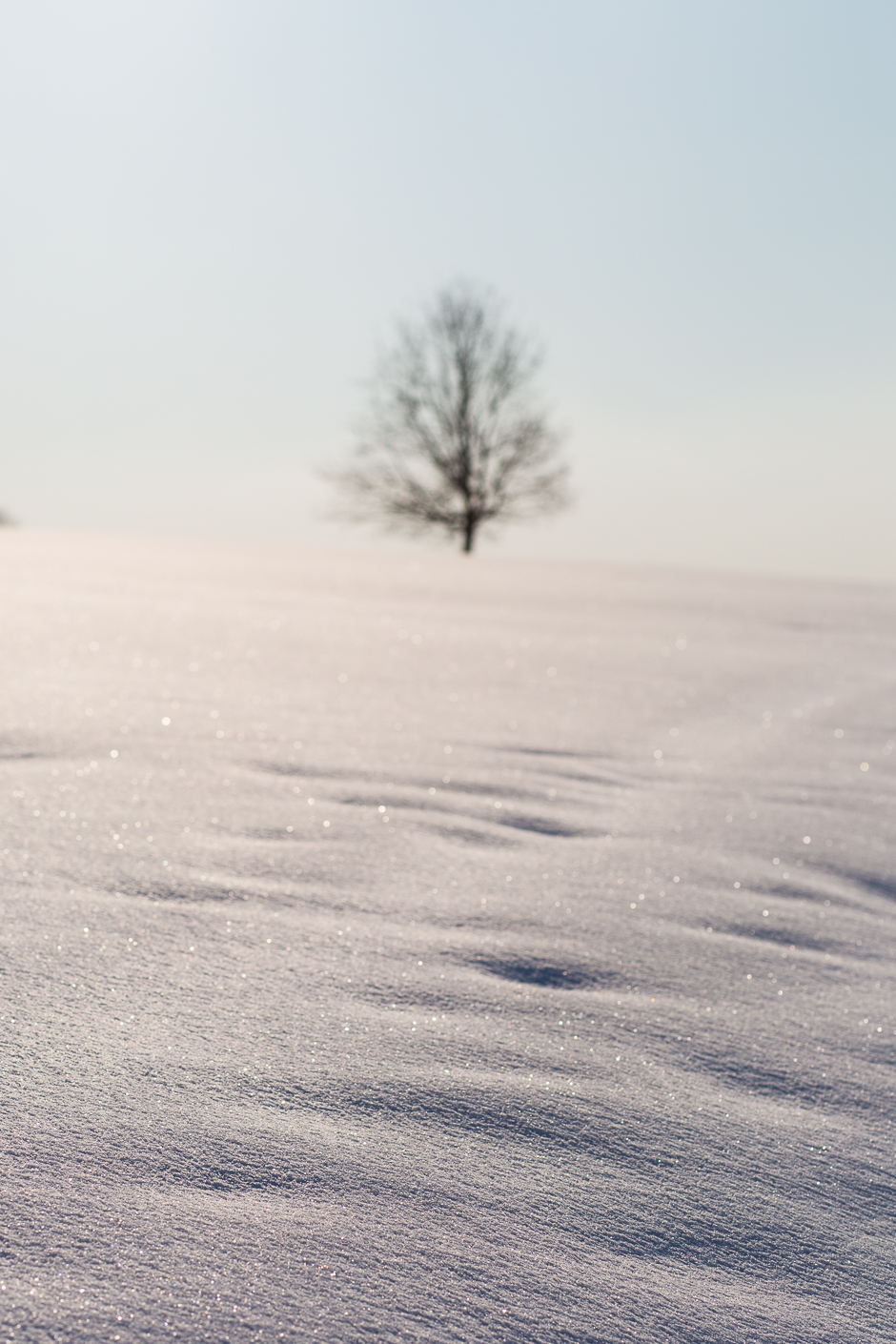 téli képek a Bakonyból www.emlekekize.hu