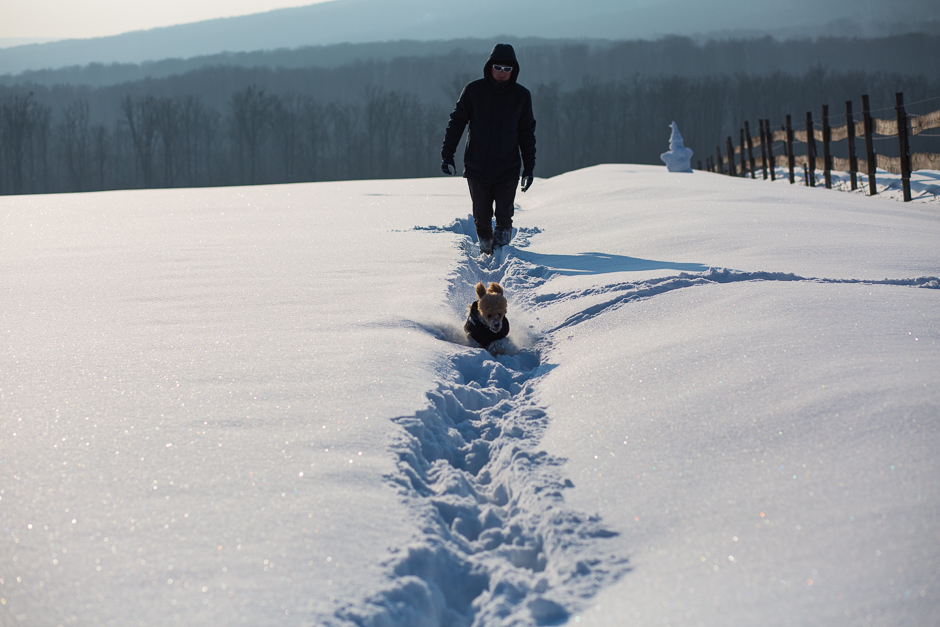 téli csodavilág a Bakonyban www.emlekekize.hu