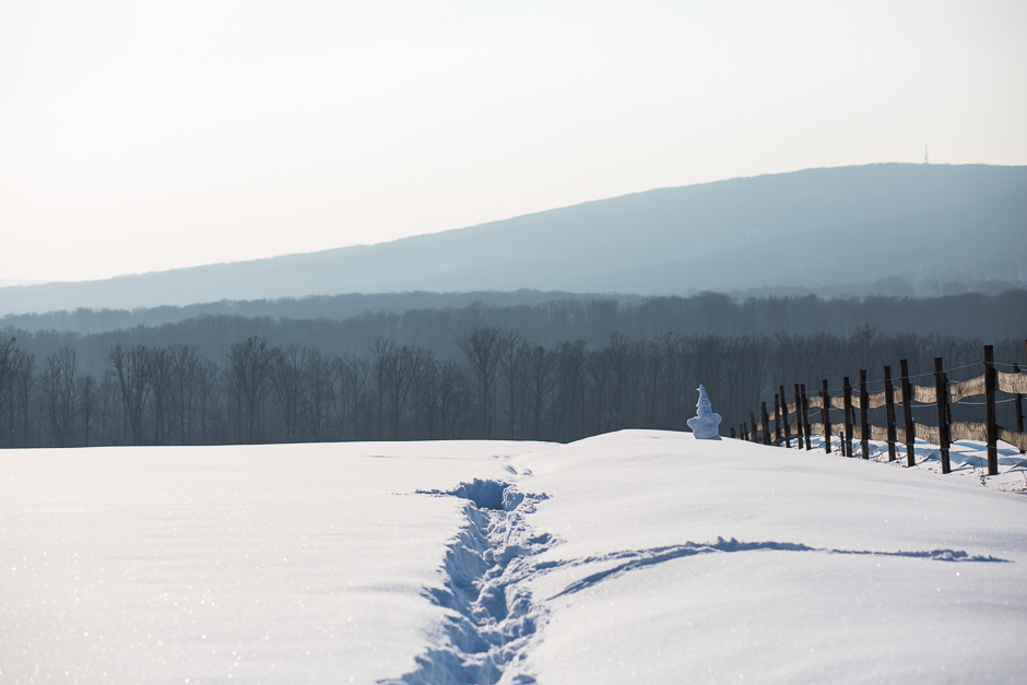 téli képek a Bakonyból www.emlekekize.hu