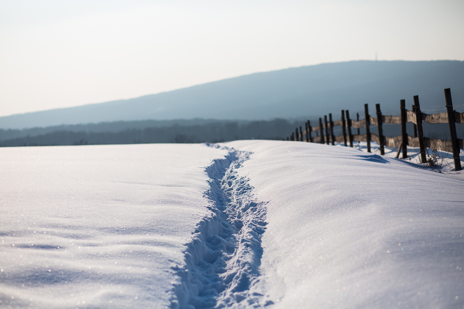 téli képek a Bakonyból www.emlekekize.hu